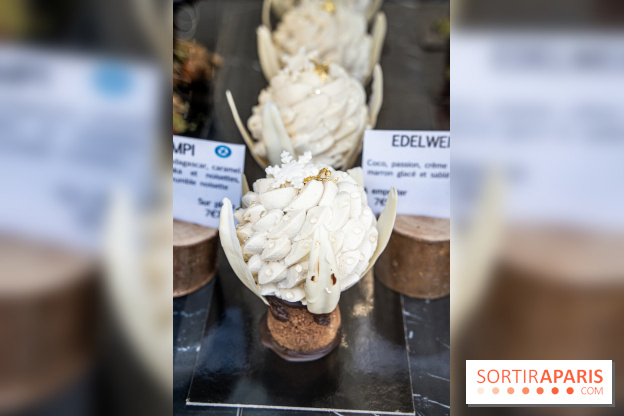 Photos : Wonderland Pâtisserie 