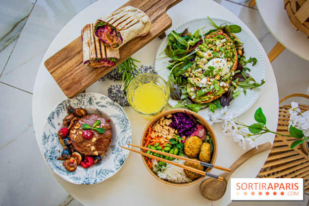 Fuumi nouvelle carte