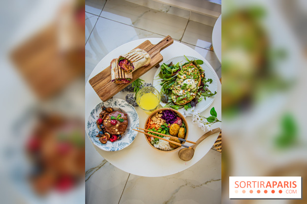 Fuumi nouvelle carte