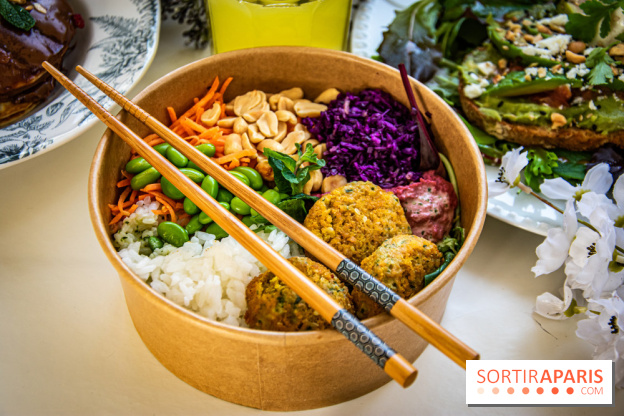 Fuumi nouvelle carte