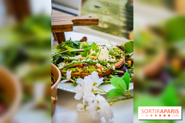 Fuumi nouvelle carte