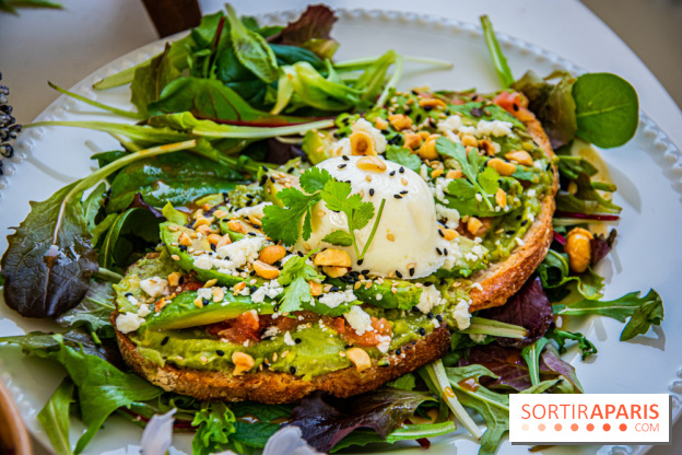 Fuumi nouvelle carte