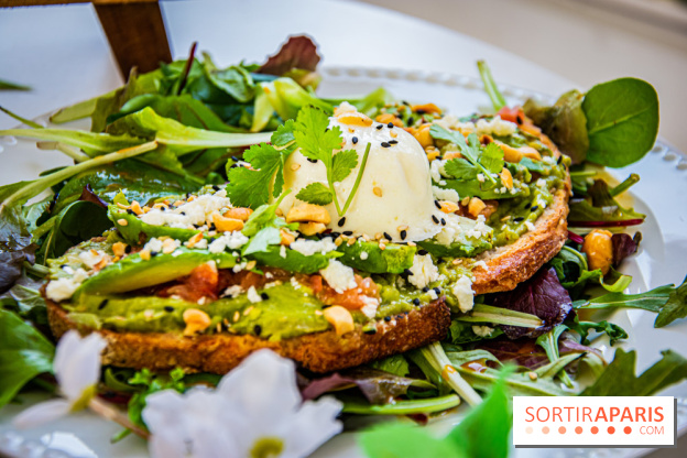 Fuumi nouvelle carte