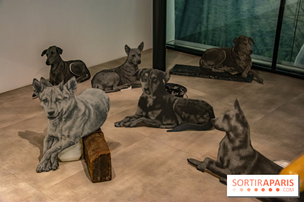 Exposition Daniel Otero Torres au Drawing Lab