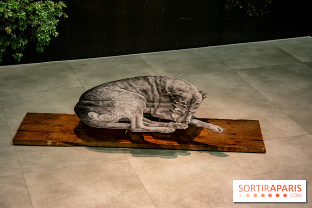 Exposition Daniel Otero Torres au Drawing Lab