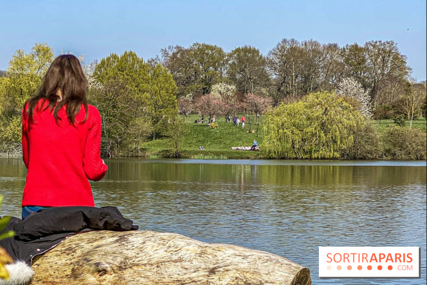 Les cerisiers et arbres en fleurs de l’Arboretum de Chevreloup