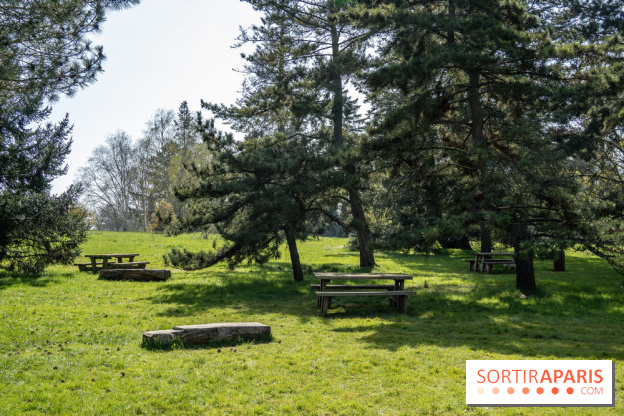 Les cerisiers et arbres en fleurs de l’Arboretum de Chevreloup