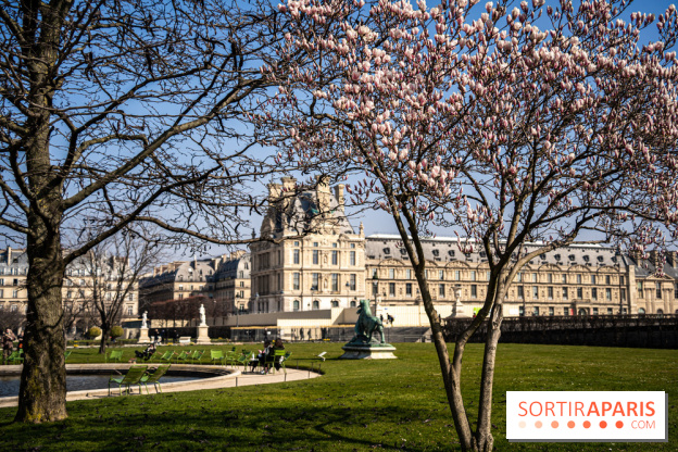 Cerisiers en fleurs à paris et aux alentours - Jardins des Tuileries - magnolias