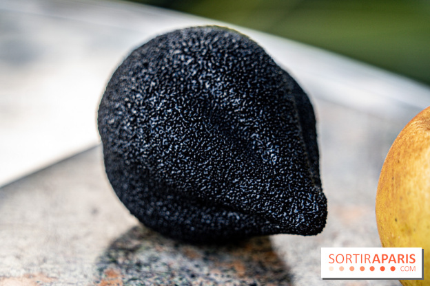 Le Meurice à la Maison