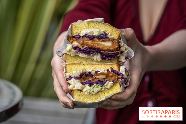 Lazy Guys Paris, street food Airfried