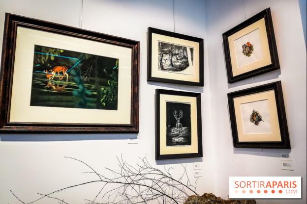 Shizen, l'expo gratuite de Benjamin Lacombe à la galerie Daniel Maghen - nos photos