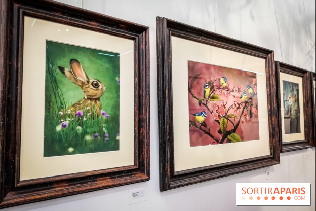 Shizen, l'expo gratuite de Benjamin Lacombe à la galerie Daniel Maghen - nos photos