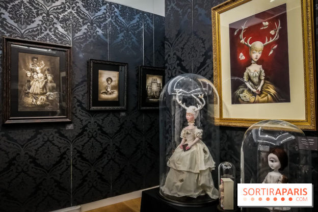 Shizen, l'expo gratuite de Benjamin Lacombe à la galerie Daniel Maghen - nos photos