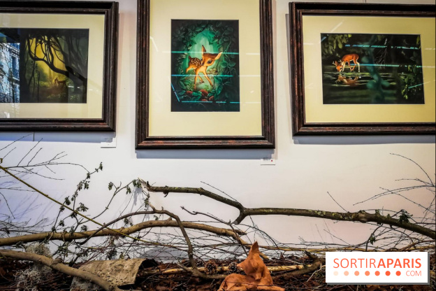 Shizen, l'expo gratuite de Benjamin Lacombe à la galerie Daniel Maghen - nos photos