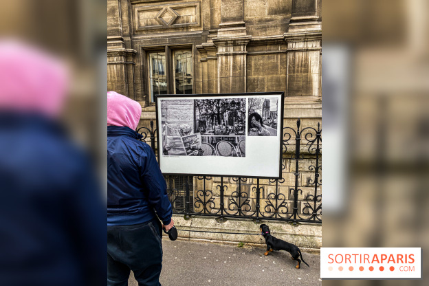 Parisiennes, l'exposition photos de Nikos Aliagas sur les grilles de l'Hôtel de Ville