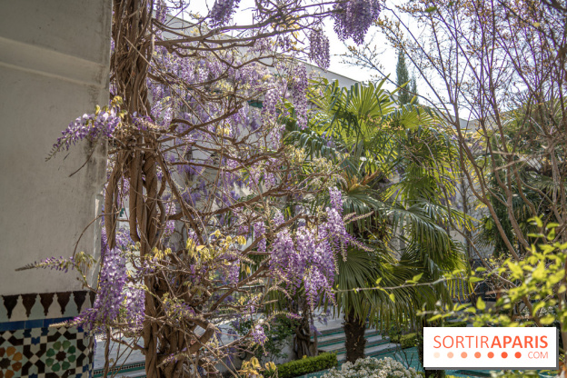 La Mosquée de Paris et son jardin en fleurs