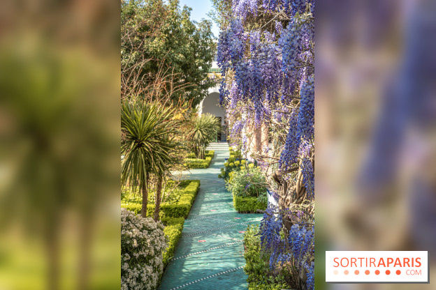 La Mosquée de Paris et son jardin en fleurs