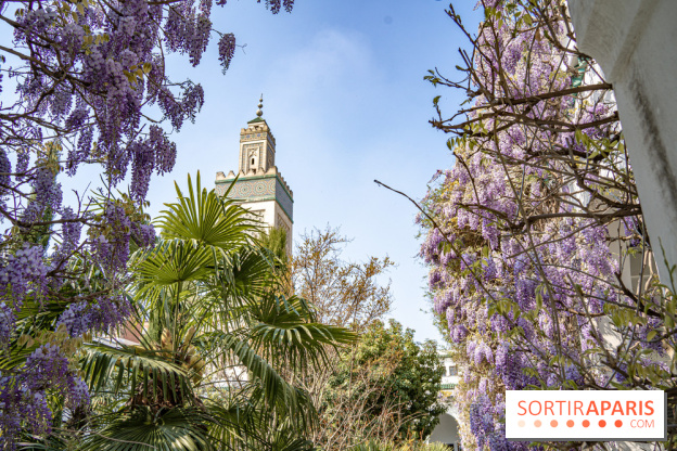 La Mosquée de Paris et son jardin en fleurs