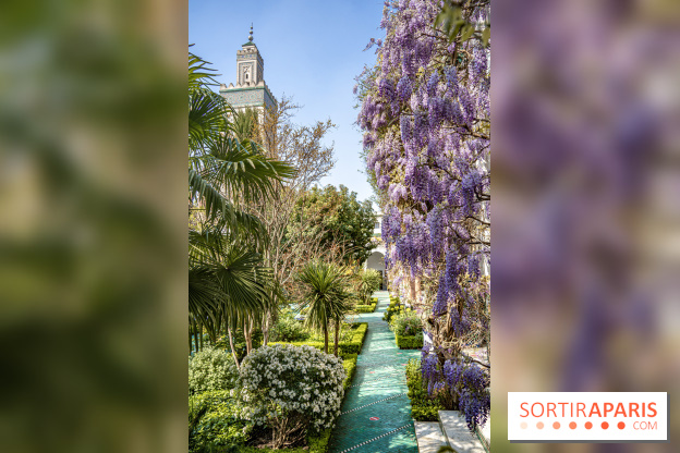 La Mosquée de Paris et son jardin en fleurs