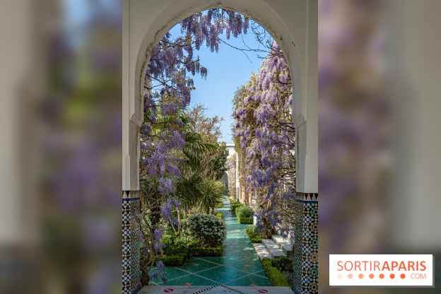 La Mosquée de Paris et son jardin en fleurs