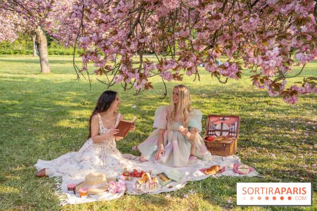 Le Parc de Sceaux et ses cerisiers en fleurs