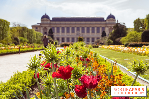 Photos : exposition Fragiles colosses au Jardin des Plantes