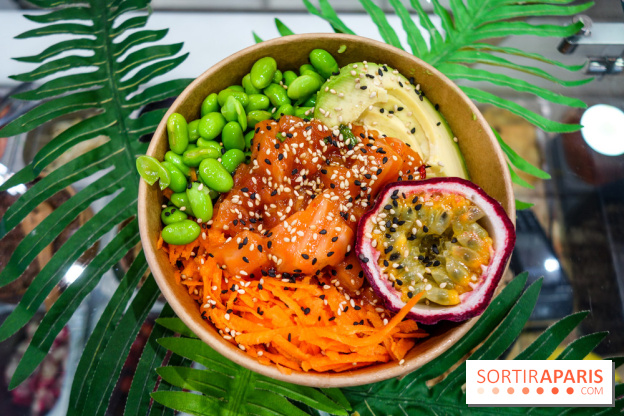 Pokelife, les photos