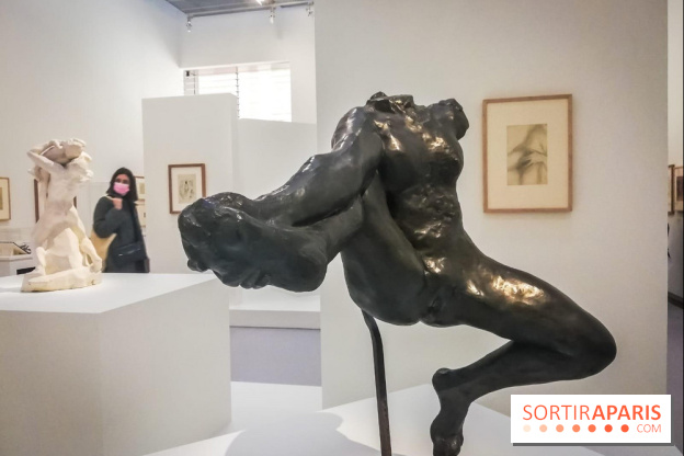 Picasso-Rodin : l'exposition se prolonge au Musée Rodin - nos photos