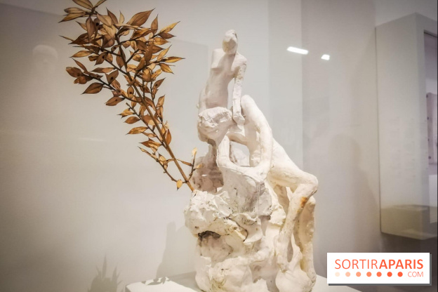 Picasso-Rodin : l'exposition se prolonge au Musée Rodin - nos photos