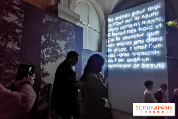 Nous vous aimons, Madame : l'expo hommage à Simone Veil à l'Hôtel de Ville de Paris - nos photos
