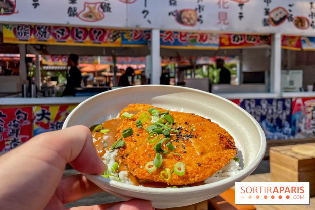 Hanami Paris, Ła terrasse éphémère du Trocadéro - IMG 4490