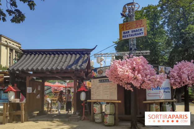 Hanami Paris, Ła terrasse éphémère du Trocadéro - IMG 20230616 120439