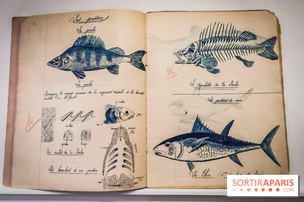 Uderzo, comme une potion magique : l'exposition hommage au Musée Maillol - nos photos