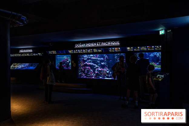 L'Aquarium Tropical de la Porte Dorée