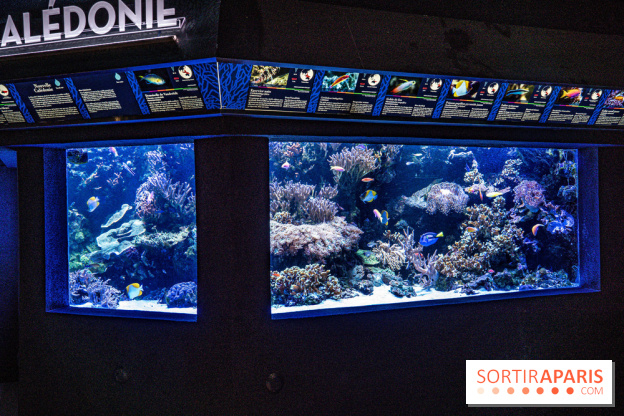L'Aquarium Tropical de la Porte Dorée