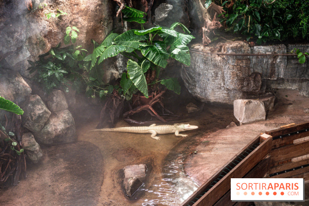 L'Aquarium Tropical de la Porte Dorée