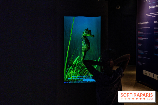 L'Aquarium Tropical de la Porte Dorée