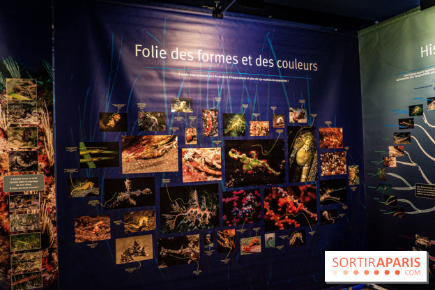 L'Aquarium Tropical de la Porte Dorée