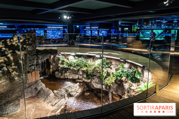 L'Aquarium Tropical de la Porte Dorée