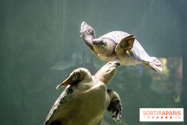 L'Aquarium Tropical de la Porte Dorée