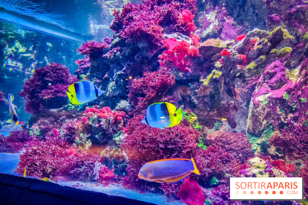 L'Aquarium Tropical de la Porte Dorée