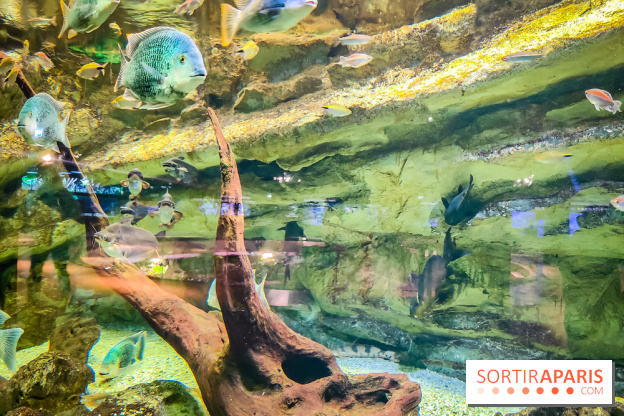 L'Aquarium Tropical de la Porte Dorée