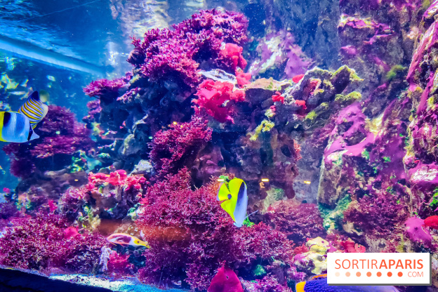 L'Aquarium Tropical de la Porte Dorée