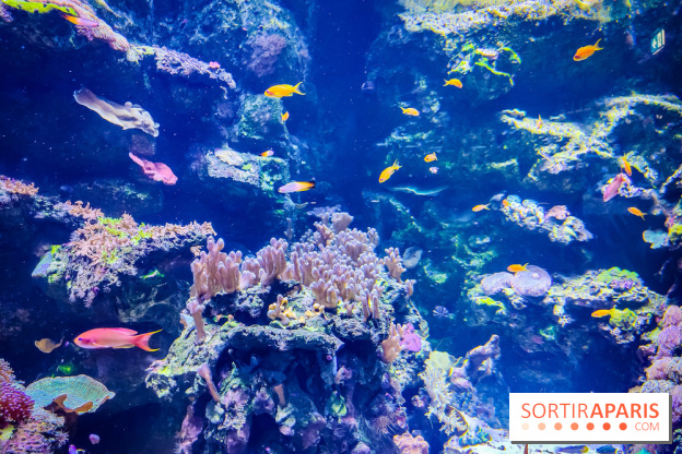 L'Aquarium Tropical de la Porte Dorée