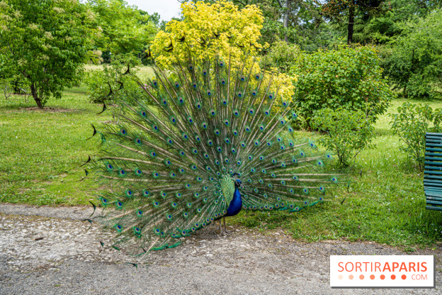 Le Parc de Bagatelle