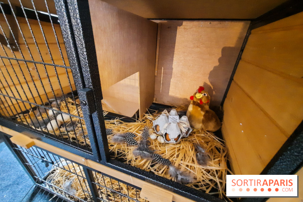 Le « Dîner avec les poules », nos photos