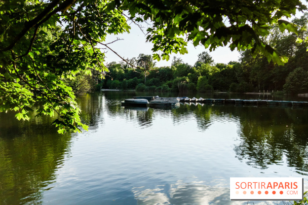 Rosa à l'Est - Porte Jaune, nos photos