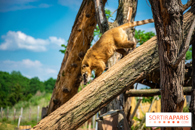 Parrot World, le parc animalier immersif d'Île-de-France