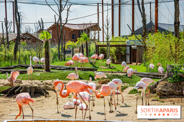 Parrot World, le parc animalier immersif d'Île-de-France