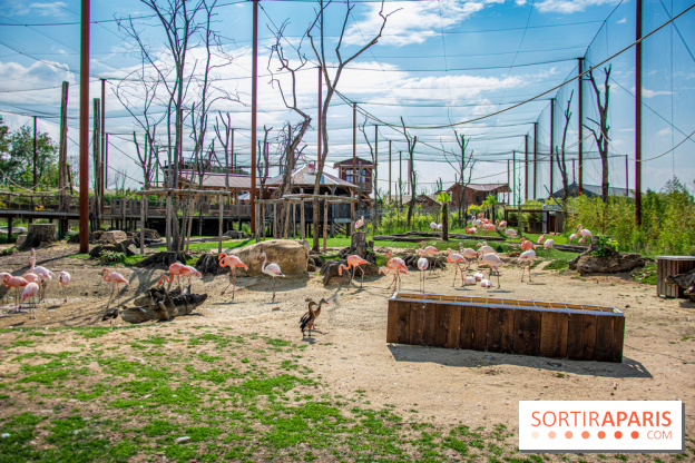 Parrot World, le parc animalier immersif d'Île-de-France